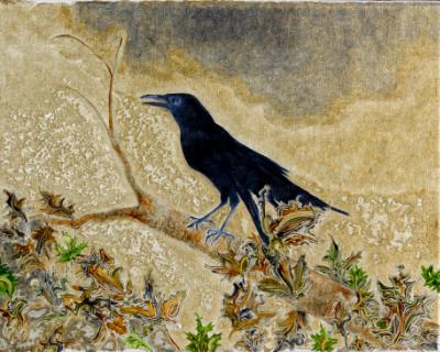 Black Bird Black Bird