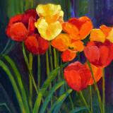 Tulips - Red Yellow Orange