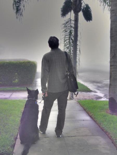 Man and Dog in Fog
