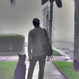 Man and Dog in Fog