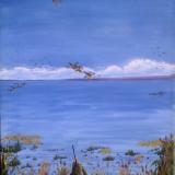 Early Morning Duck Hunt