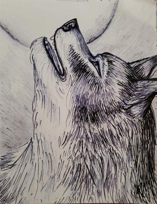 Answering to the Night