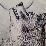 Cry Wolf