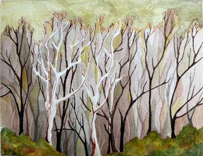 Early Spring, Tecolote Canyon