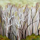 Early Spring, Tecolote Canyon