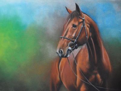 The beauty of the Morgan horse, 38cm x 56cm, 2021