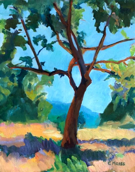 Tree, Study