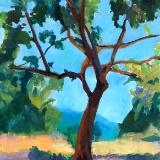 Tree, Study