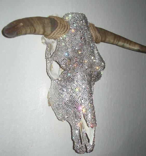 Bull Skull Right Side