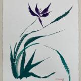 Mt Orchid in breeze (purple nujabi paper)