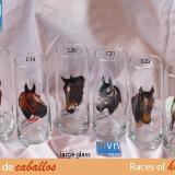Set of handpainted glasses: RACES OF HORSES