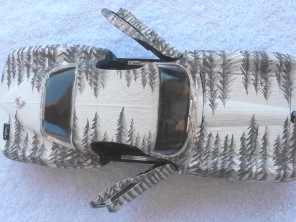 White forest : Model car