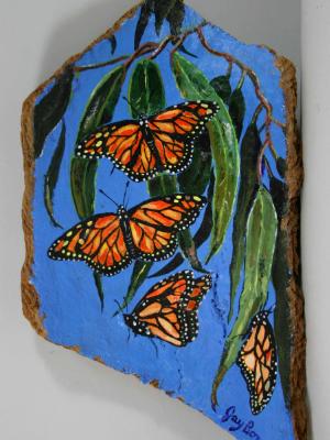 “Monarch Butterflies” “Monarch Butterflies”