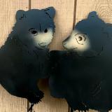 Baby Black Bears