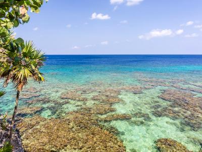 Crystal Clear Roatan Barrier Reef Crystal Clear Roatan Barrier Reef