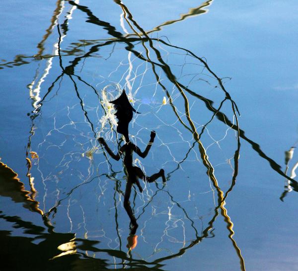 Man in a Net