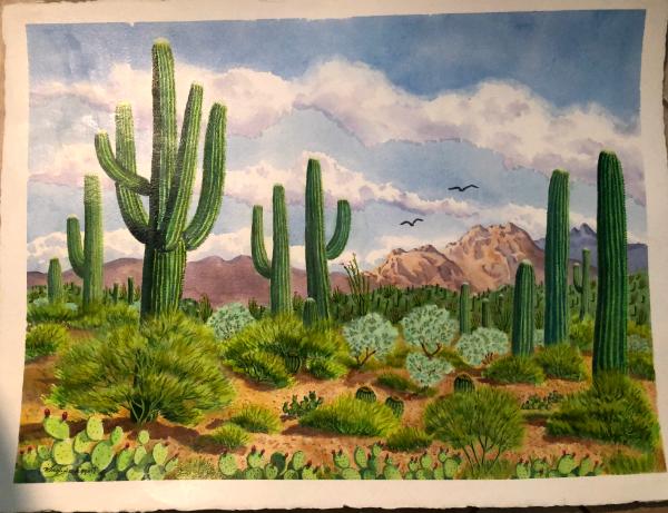 Saguaros and Desert Plants