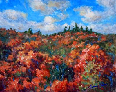 Vibrant Autumn