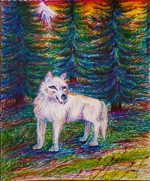 Northwestern Acclimation