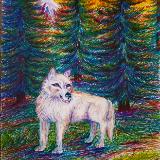 Northwestern Acclimation