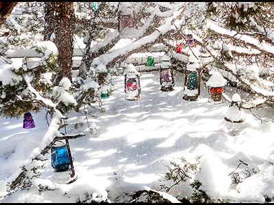 Snow Flakes and Lanterns