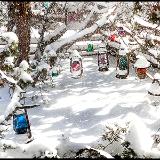 Snow Flakes and Lanterns