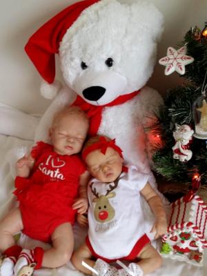 Christmas 2016 Show entry: Ivy & Emily (R.D)
