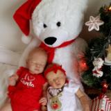 Christmas 2016 Show entry: Ivy & Emily (R.D)
