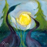 Ria Harboe