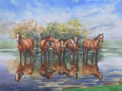 Horses of the delta of the Danube river, 70cm x 50cm, 2017