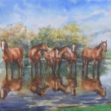 Horses of the delta of the Danube river, 70cm x 50cm, 2017