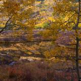 Soft Light on Ironton Marsh Autumn