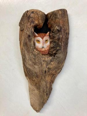 Screech Owl in Hole #2