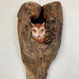 Screech Owl in Hole #2