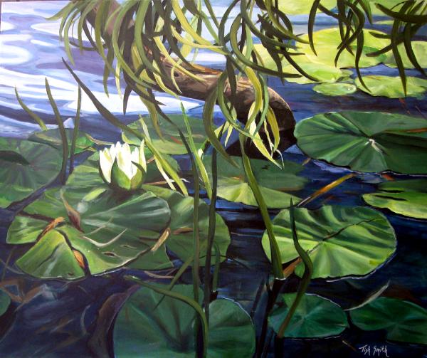 Water Lily Jubilee