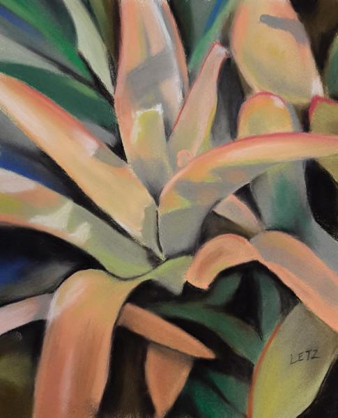 "Bromeliad Leaves"
