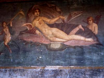 Venus on the Half Shell Venus on the Half Shell