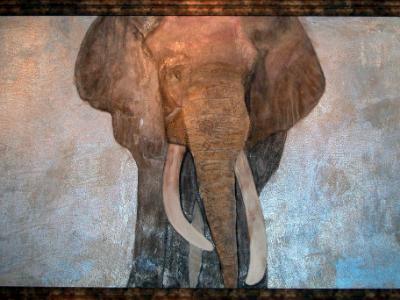Elephants Don't Hide