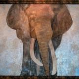 Elephants Don't Hide
