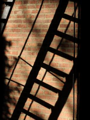 Ladder Ladder