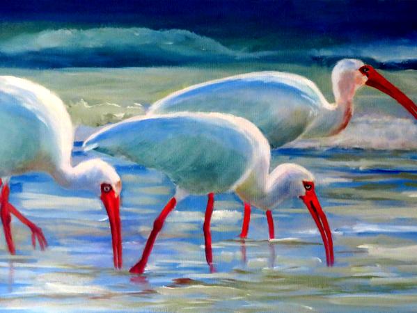 Ibis in Water - 12 x 24 - oil