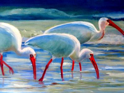 Ibis in Water - 12 x 24 - oil