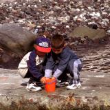 boys at play harborside