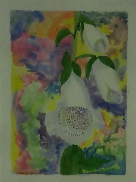 Foxglove