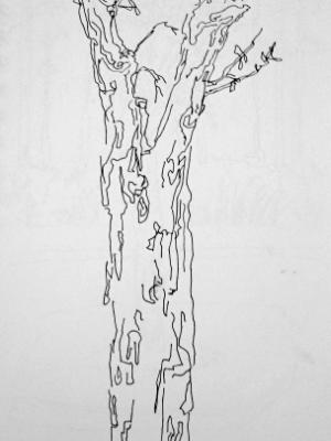 One Tree II One Tree II