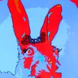 Rabit pop