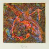 Polychromatic Experiment Series Polychromatic Experiment Series