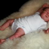  Minutes old Reborn Baby ~ Graham ~ ADOPTED/SOLD