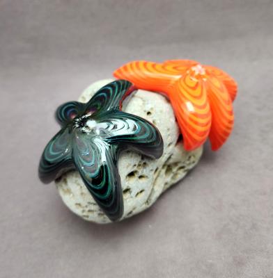 #07282309 starfish on rock 5''Hx8''Wx5.5''D $250 #07282309 starfish on rock 5''Hx8''Wx5.5''D $250