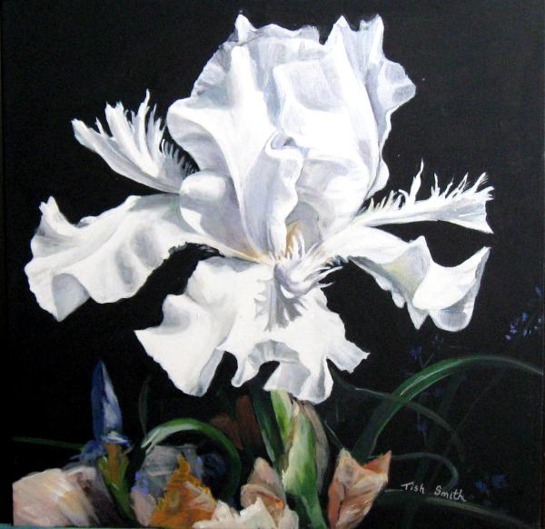 Prizewinner